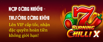 Trải nghiệm BJ77 Live đỉnh cao